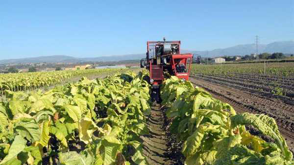 UGT FICA Extremadura propone a CETARSA un plan de rejuvenecimiento de plantilla