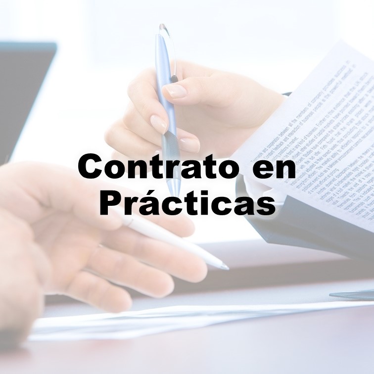 Todo-sobre-el-contrato-en-practicas-0.jpg